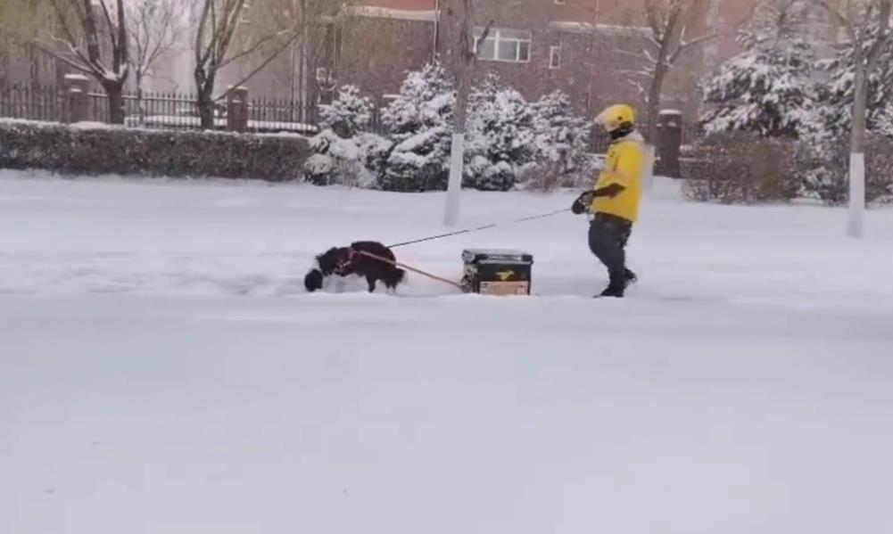 北方人打雪仗都带医保？战斗场面太爽，南方人都酸了