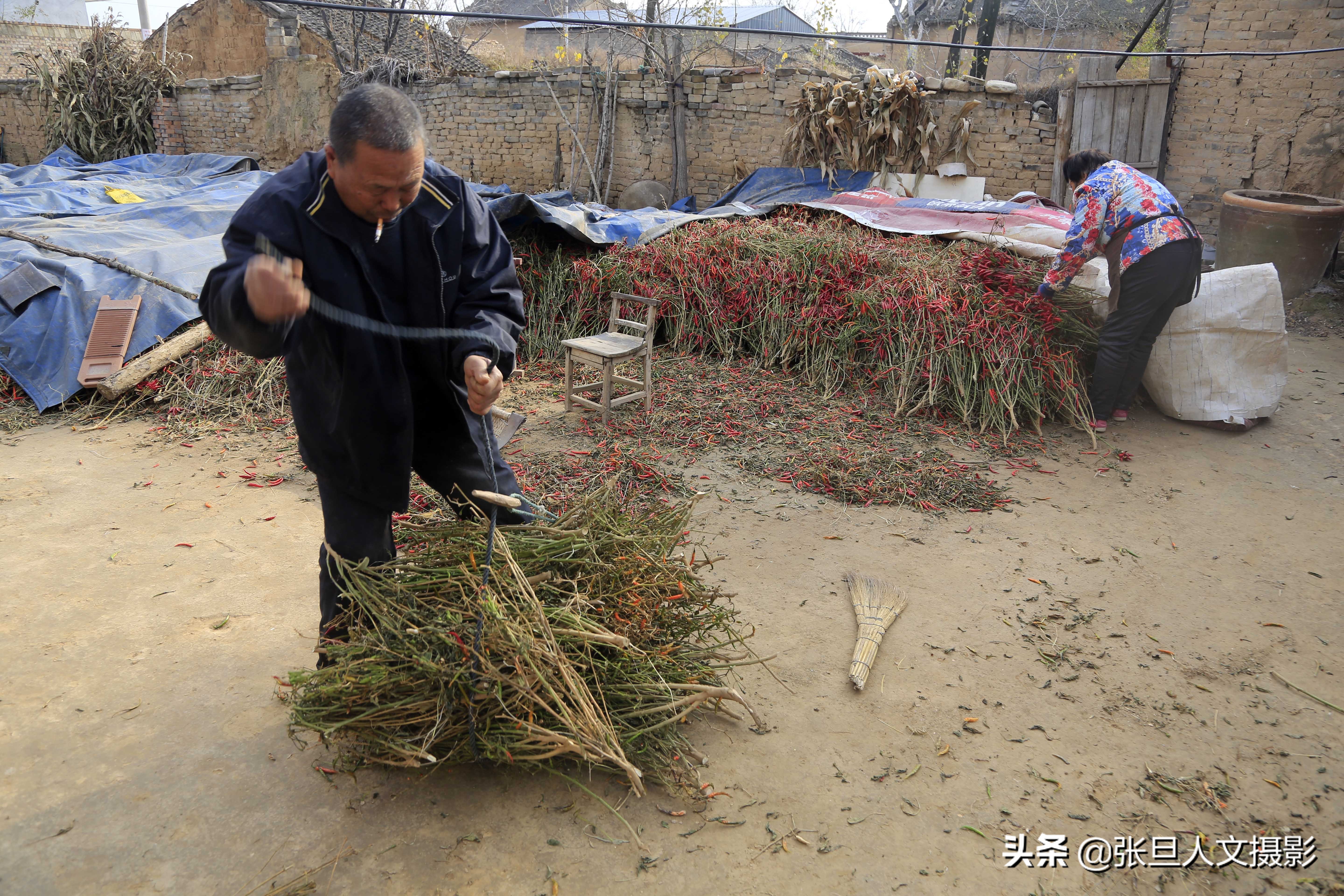 70岁老人住窑洞种辣椒 过着简朴的生活 空降兵的身份值得尊重