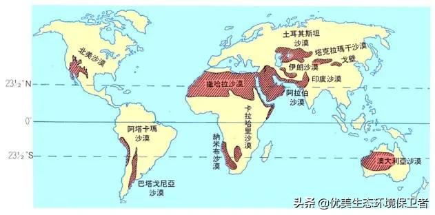 一种野草迅速生长并占领了沙漠，为何美国高兴不起来？