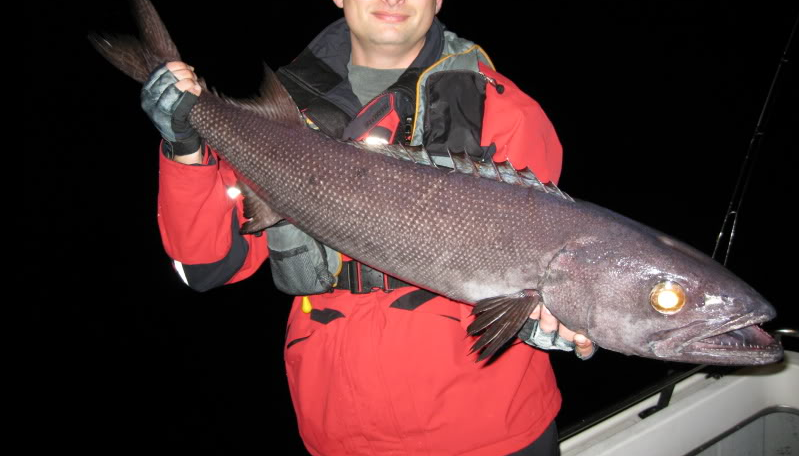 神奇的油鱼吃完就会腹泻流油化身喷射战士为啥会这样