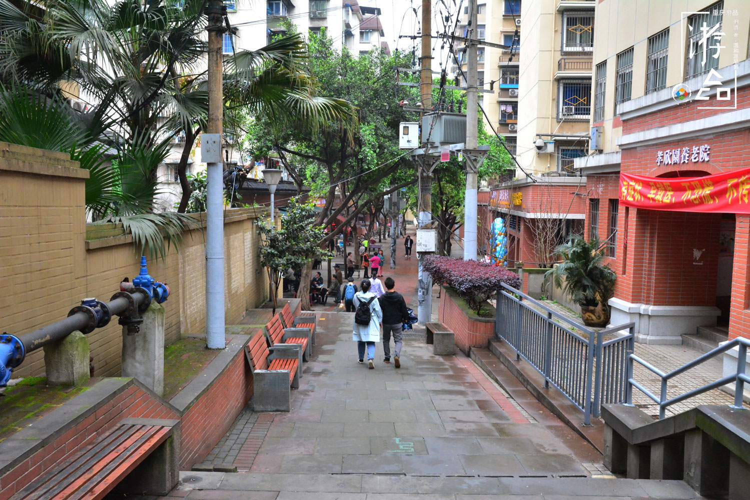 有人在重庆住了22年，都没听说过张家花园，渝中区的“世外桃源”