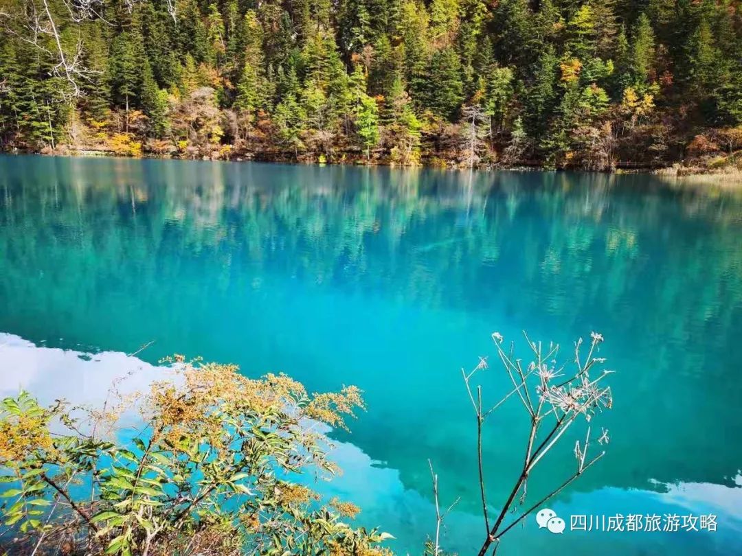 人均仅800九寨沟三日游旅游报价来了