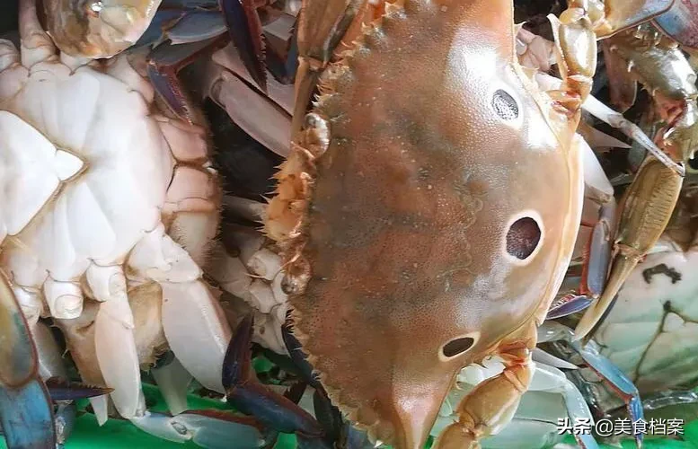 常见的海蟹种类有哪些 哪种螃蟹最好吃 全吃过的算你牛 69农村创业网