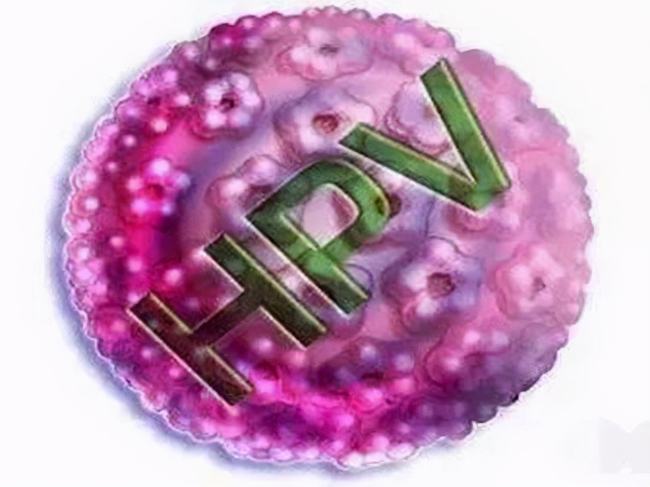 hpv16阳性是什么意思