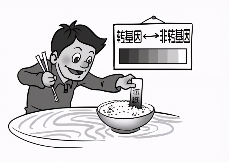 甜玉米为什么那么甜？它是转基因玉米吗？