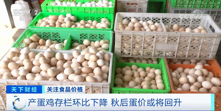 鸡蛋价格大跌近30%，养殖户卖一斤亏0.7元！一降