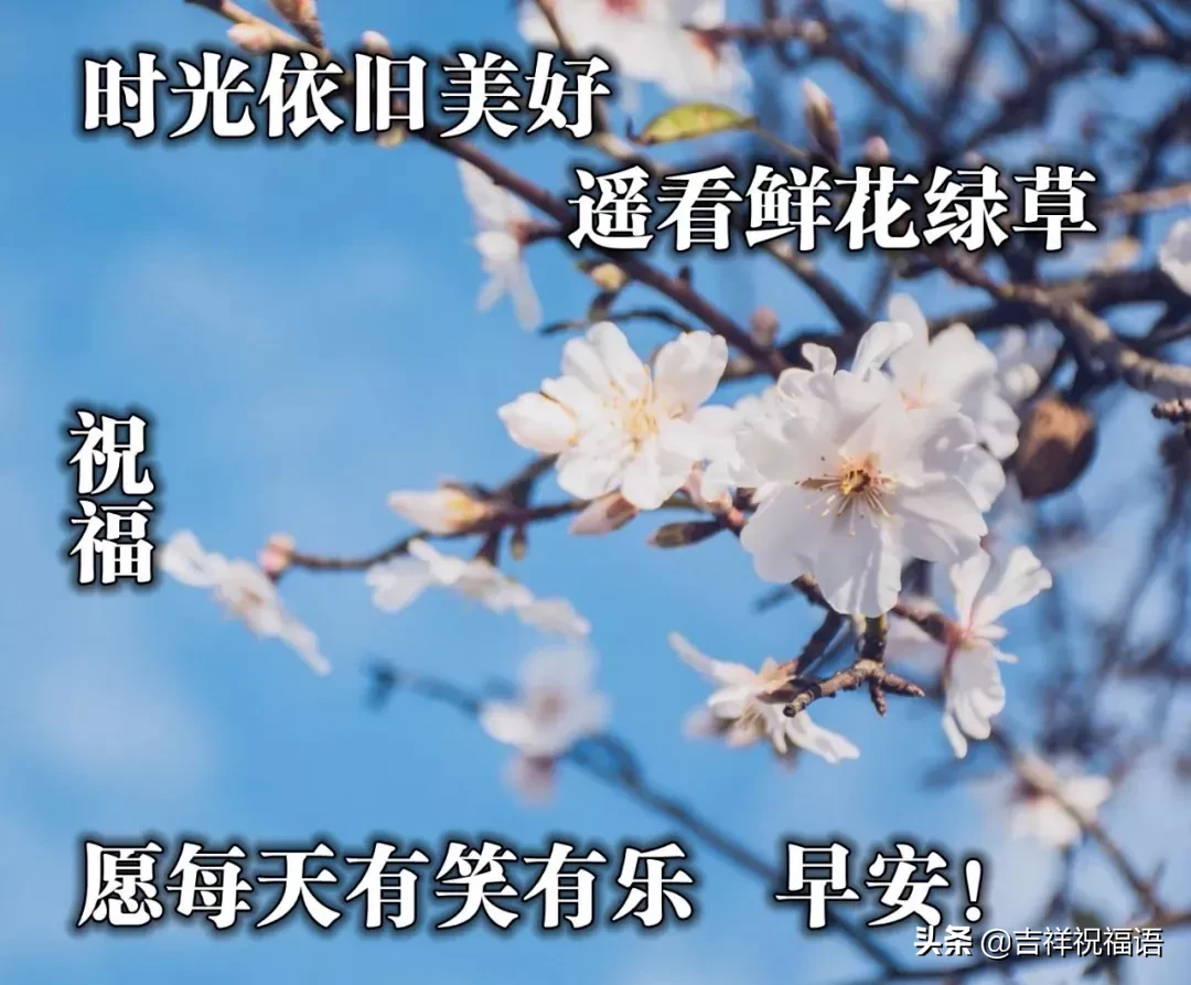 早晨好唯美图 早上好的图片表情带问候句子图片