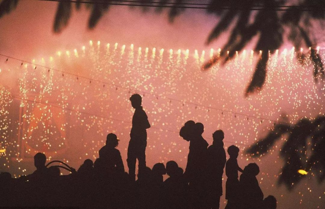 我們學了那麽多道理，卻依然過不好這一生丨你的“套用”一文不值