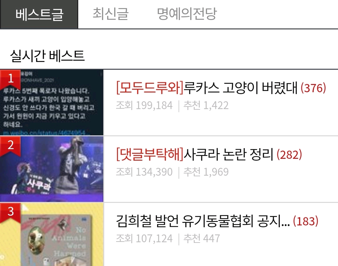金希澈發言被遺棄動物協會批評：這樣做是把流浪狗趕到死角地帶