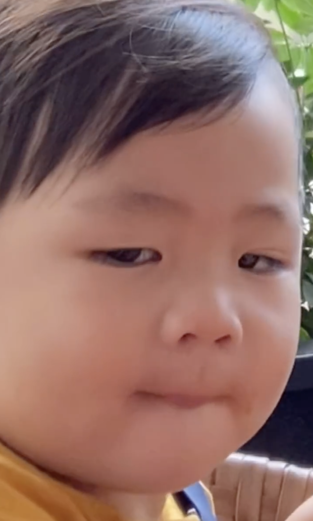 蔡少芬闢謠治病後心情好，騎單車攜子溜達過六一，魚蛋練功萌態足