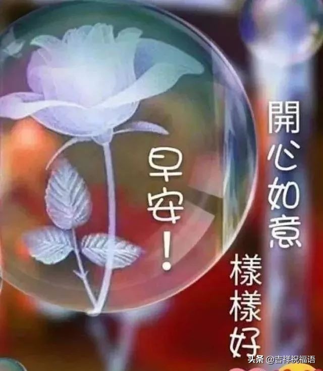 早上好动态图片带字和鲜花 早上好图片大全图片