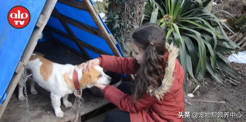 8岁小女孩背爱犬在雪地走3公里只为找一个特别的