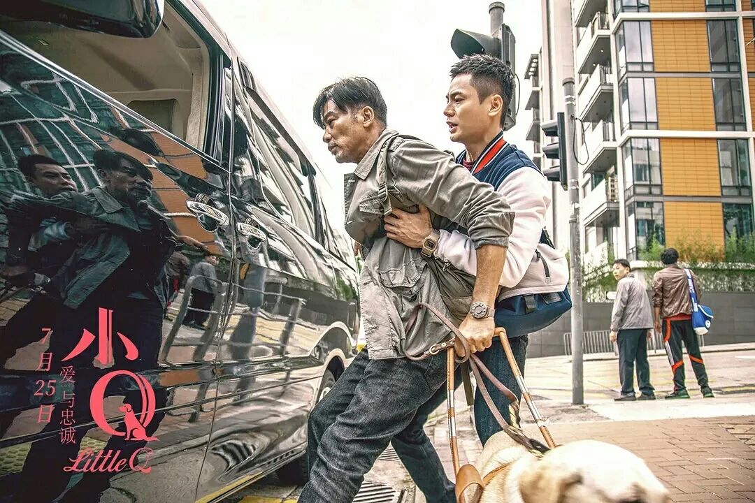 Touch 300 million people guide blind dog small Q, explain responsibility and faithful essence