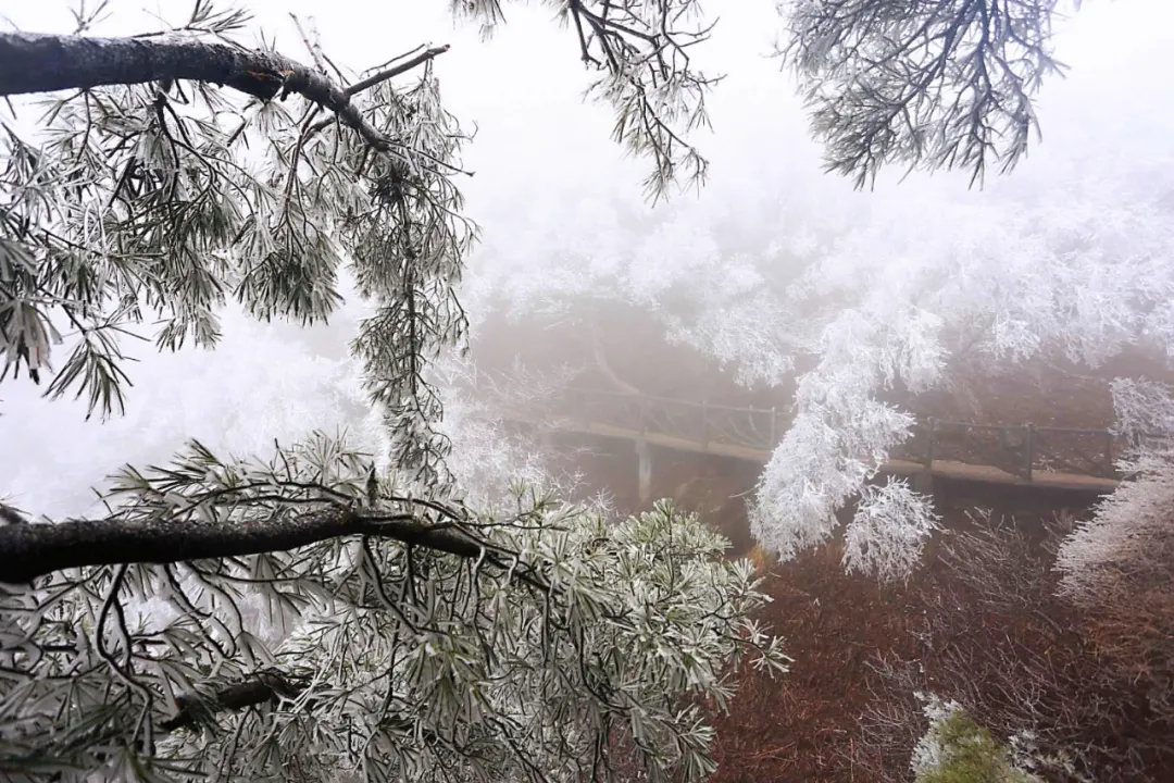 清明踏青賞春光，堯山迎來假期旅游高峰！