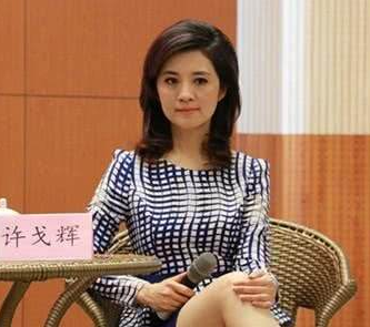 她是倪萍的接班人许戈辉，本前途一片光明，为何会被央视“封杀”