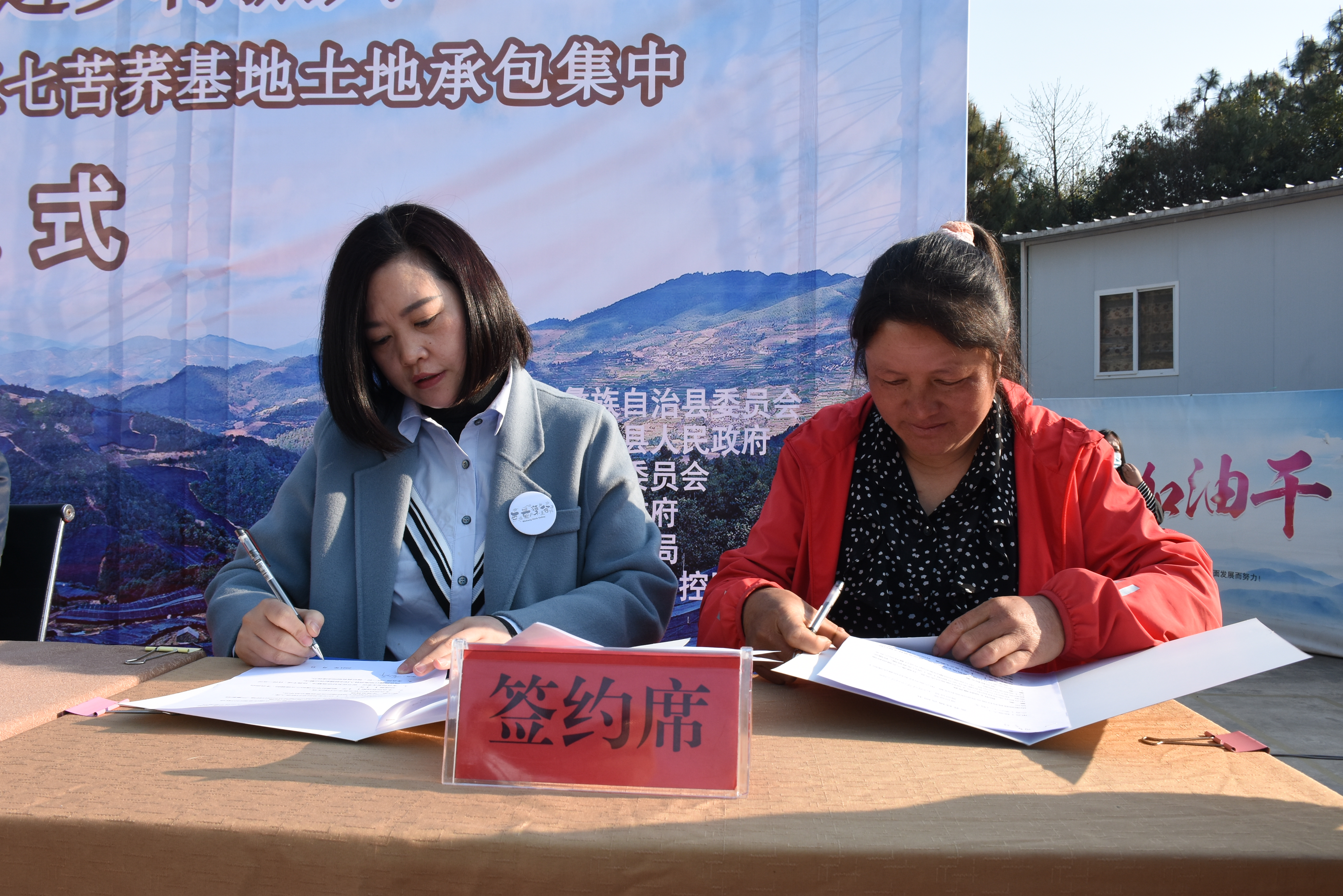 “千企万店助彝乡”在无量山启动，医药界60金主与千余茶农签约