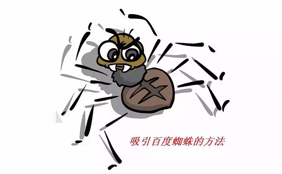 什么是seo蜘蛛，让你网站秒被蜘蛛抓取的seo大招？