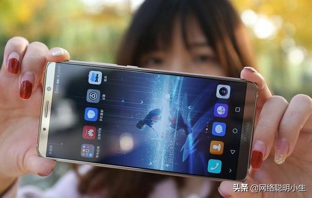 美国有安卓和苹果，国内手机厂商众多，为何没