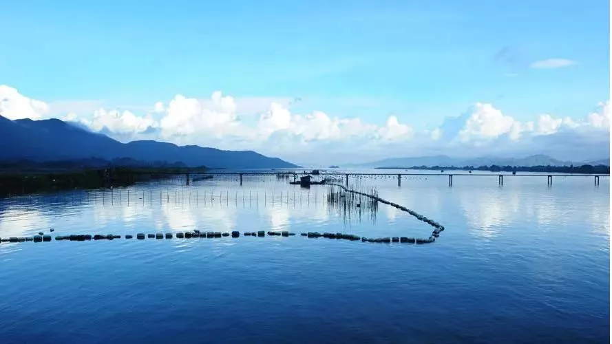 文為您詳解魚病發(fā)生期、發(fā)展期、高峰期、恢復(fù)期各階段施用藥準(zhǔn)則