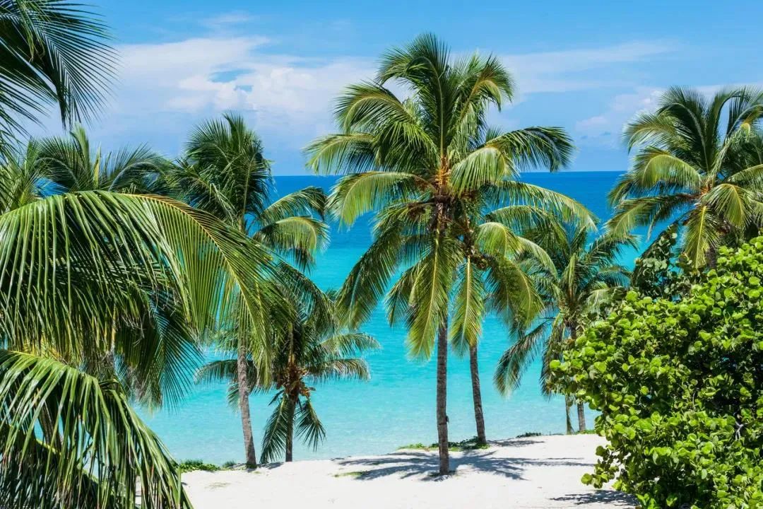 周杰伦新歌《mojito》1小时突破百万，MV的取景地更让人动心