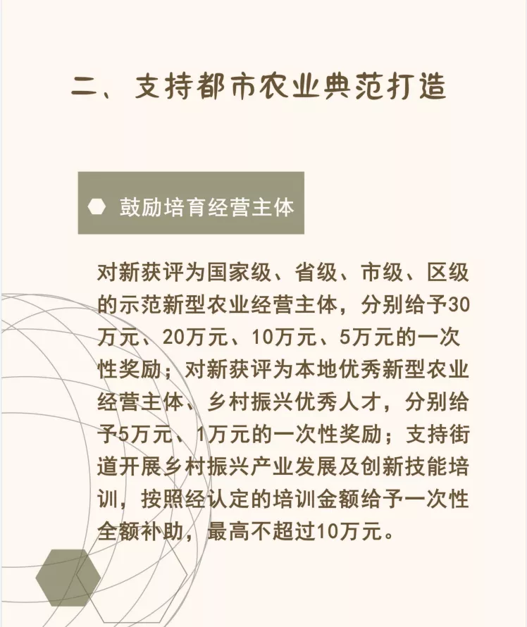 乡村振兴高质量发展十条政策