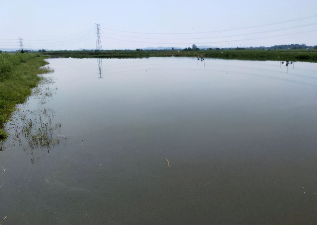 浑 水 肥 水 应该怎样处理