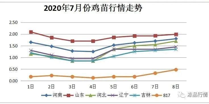 翻红大涨！落地的鸡价开始起飞了