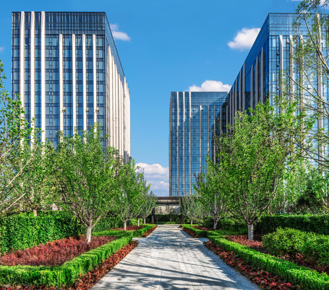 疫考优等生，林肯让你不得不选的N种理由