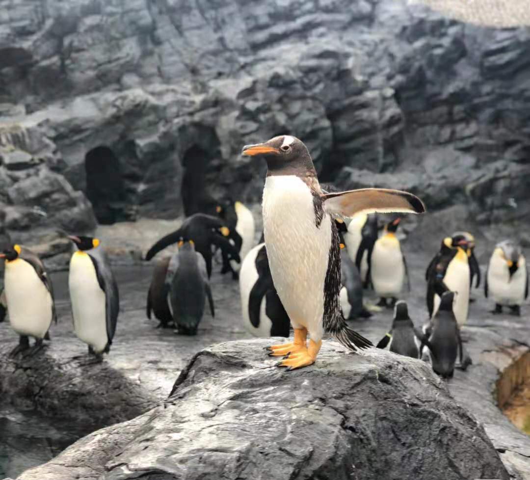 北海道旅遊線路 資深旅遊達人攻略 這樣的玩法才不會有遺憾 Miptour Mdeditor