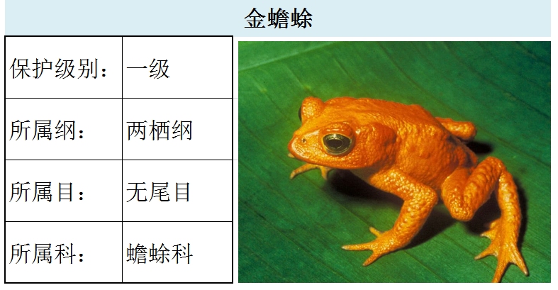 国家最新水生野生保护动物名录（共计三百余种），第2期