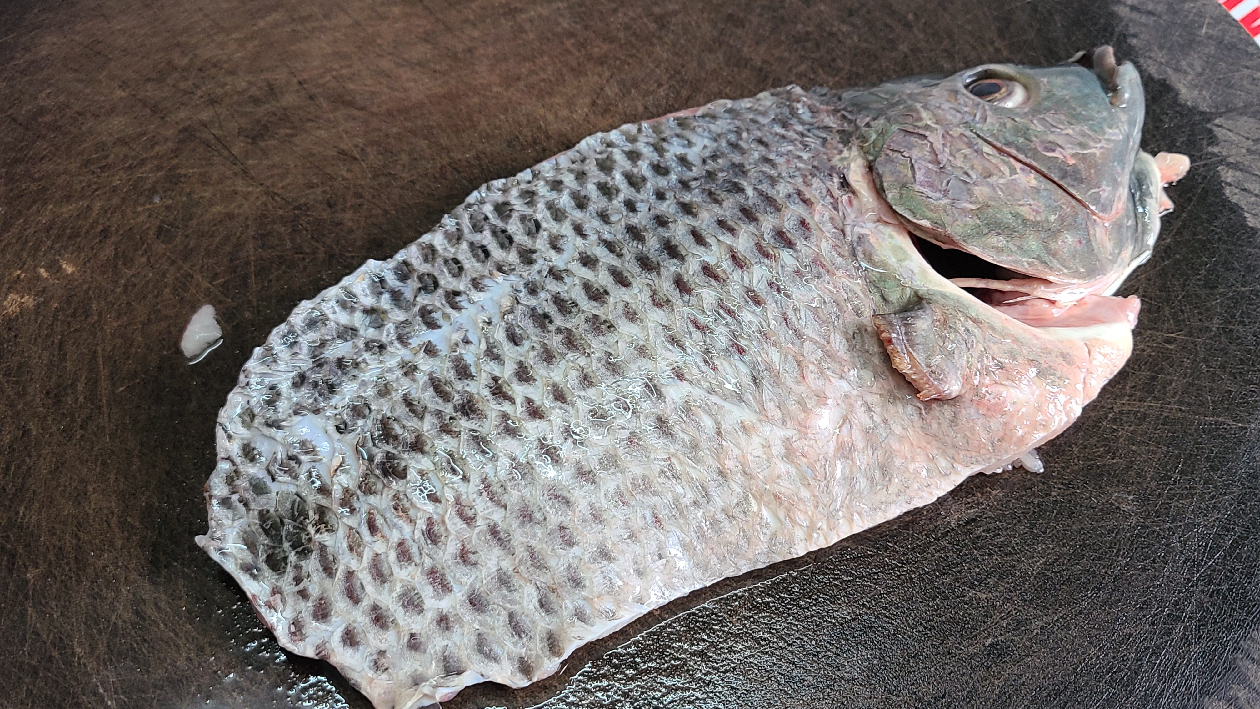 豆豉蒸魚，學會這一道廣東家常菜，我家一周吃幾次，太香了