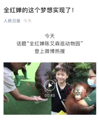 全红婵坐大摆锤！双手比V太开心，婉拒所有代言+综艺，暂不捞金