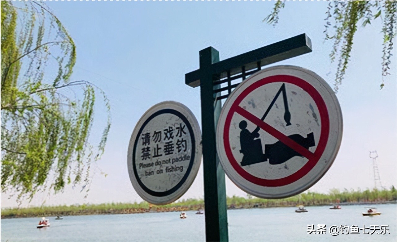 長江禁漁不是禁釣！相關規定出臺，5條原則給釣友指明瞭方向