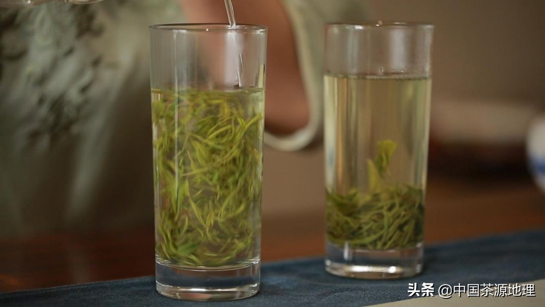 绿茶3种冲泡方法，转给喜欢喝绿茶的朋友！