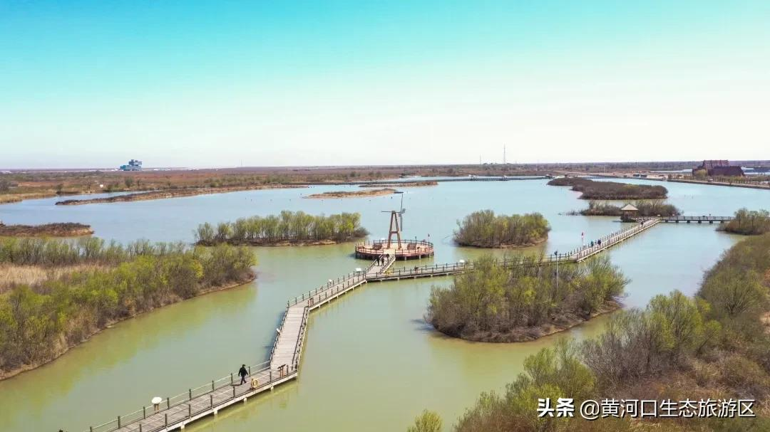 踏青正当时,莫负好春光