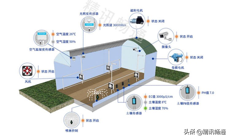 智慧大棚解决方案