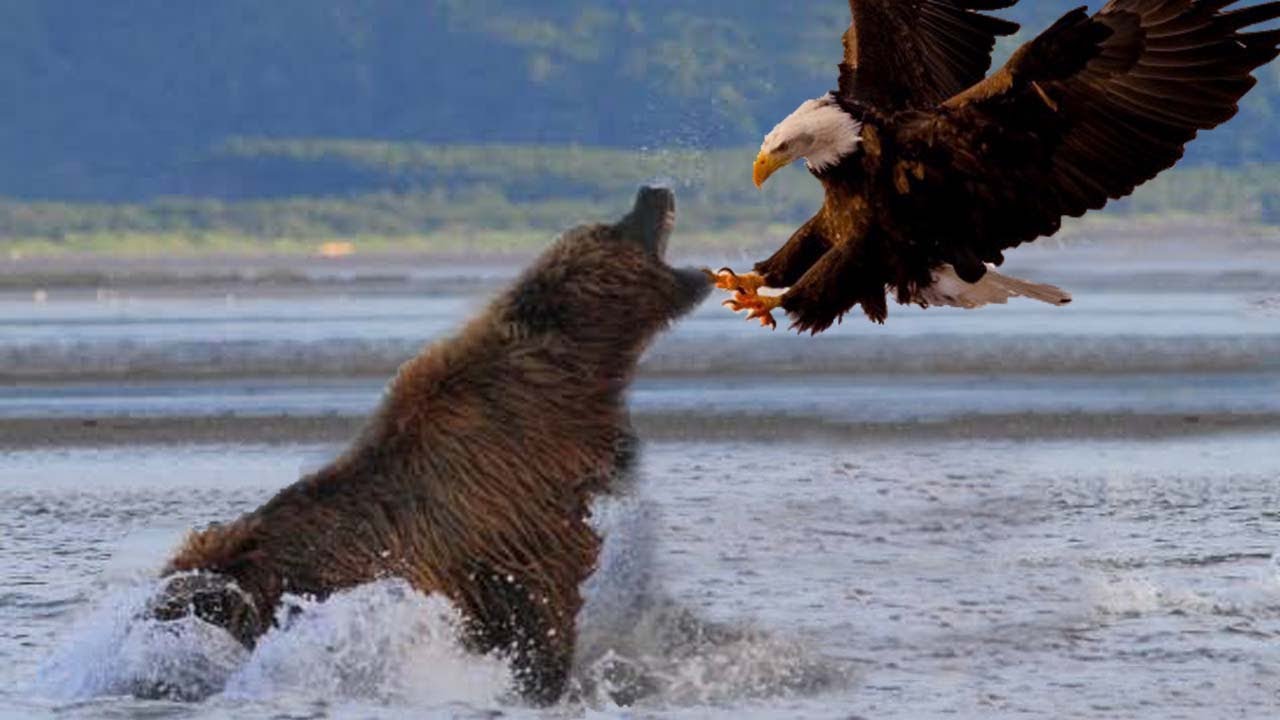 俄罗斯一口气发射4枚洲际导弹，国际评论：这头“熊”在向谁展示“利爪”？