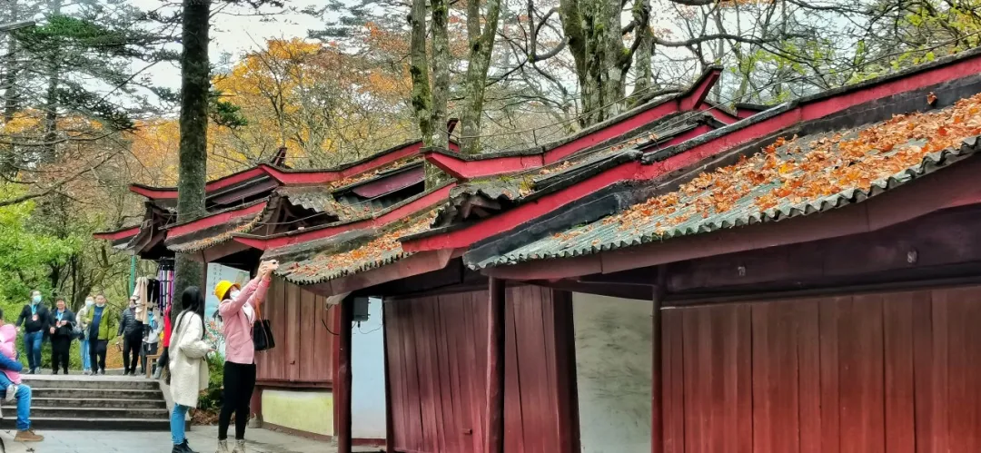 没想到,峨眉山以这样的方式告别秋天