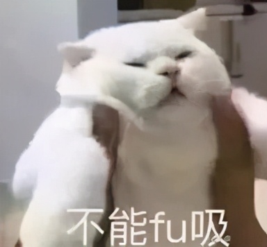 " my times your times " " my love " CP scatters candy ceaseless! Does Hu Yitian confess refuse? 