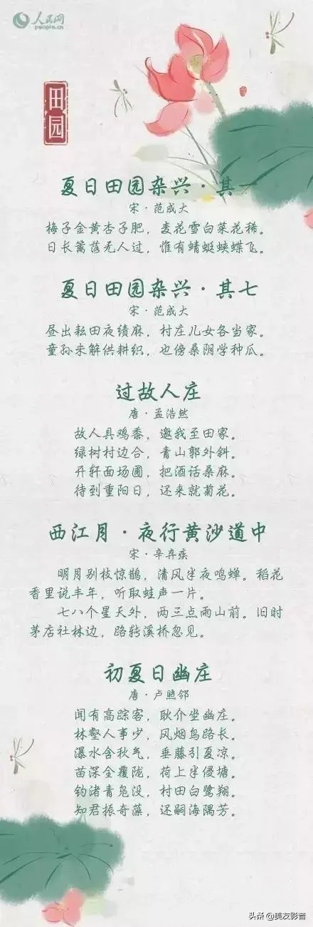 【古诗词】40首夏日古诗文：帘动微风起，满院蔷薇香-第8张图片-非凡网
