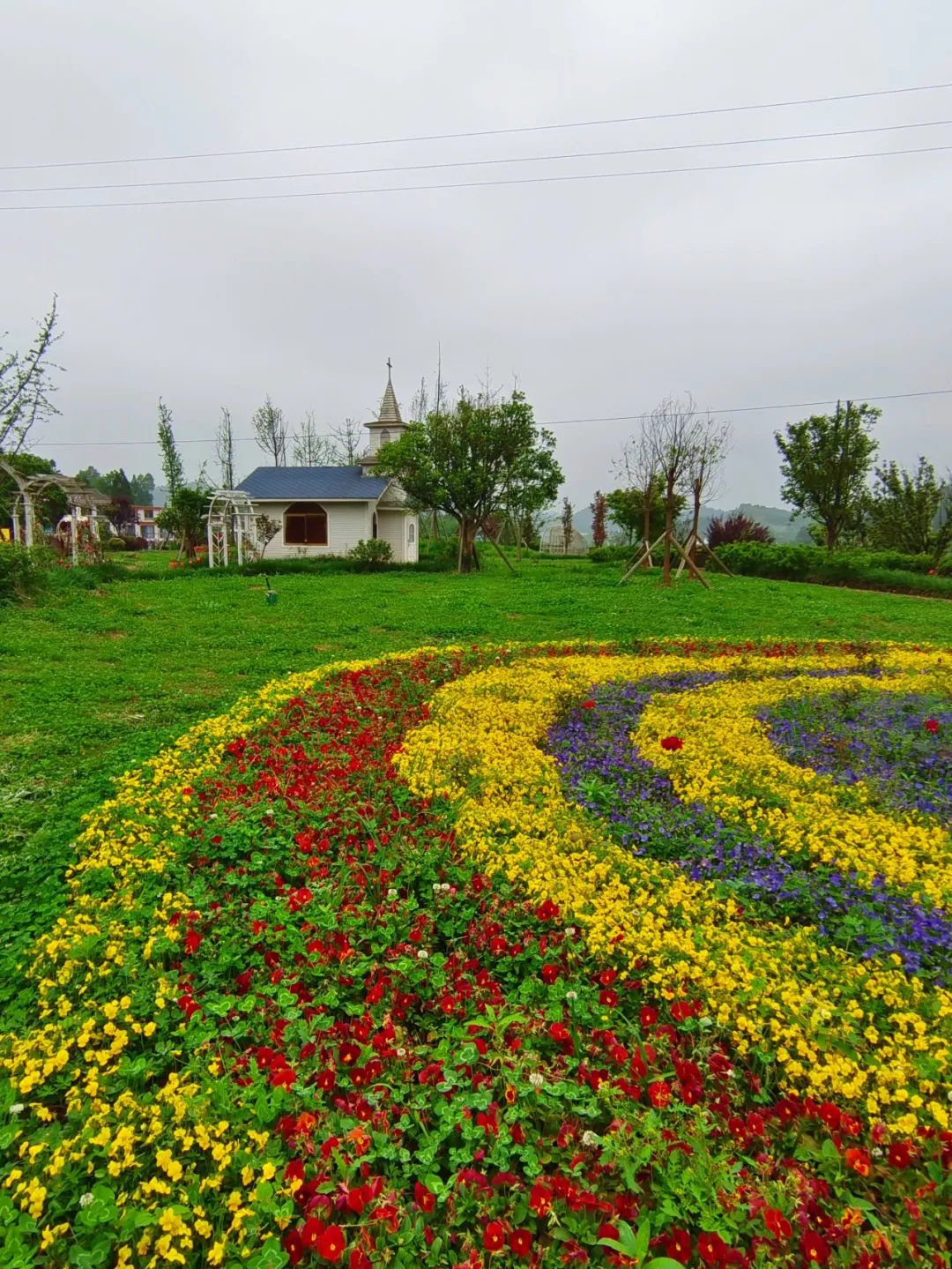 数博会假期花画小镇邀您畅游花海