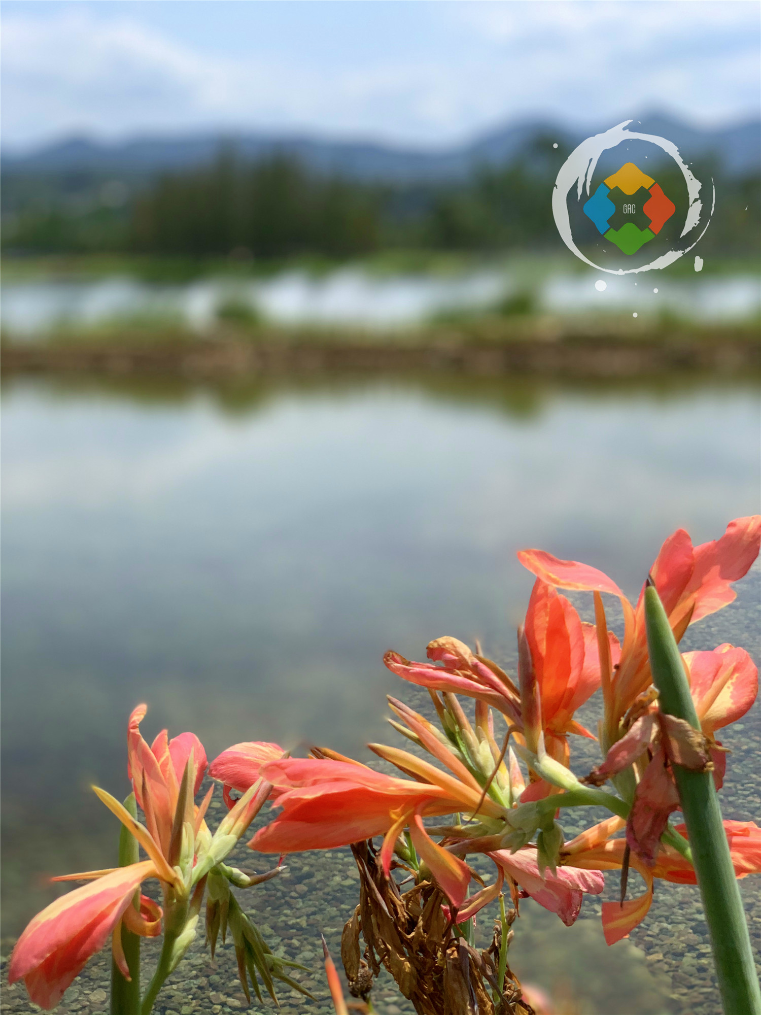 重庆广阳岛游玩攻略：一天逛完4大景点，美不胜收，拍照超好看