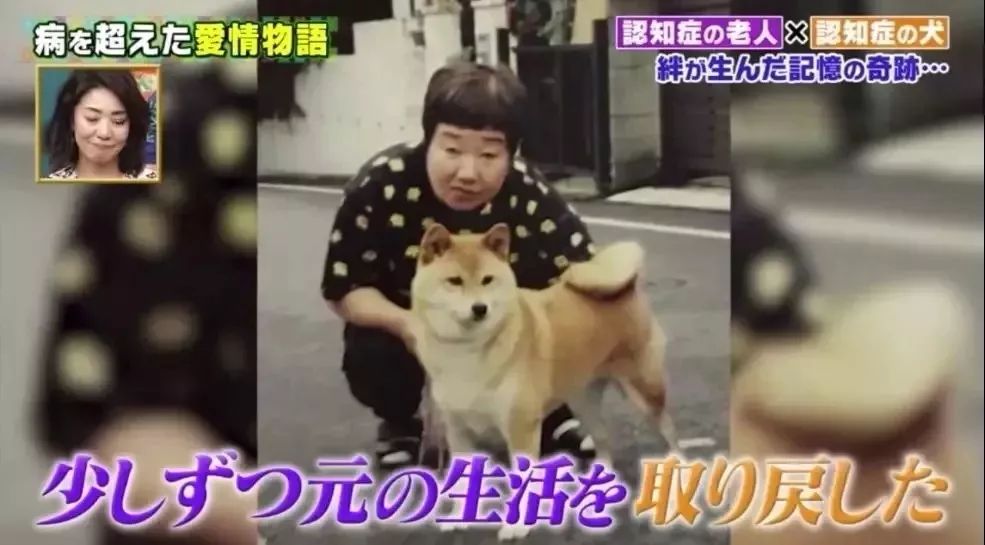 日本81岁奶奶和柴犬同患老年痴呆，分开2年后感人一幕发生了