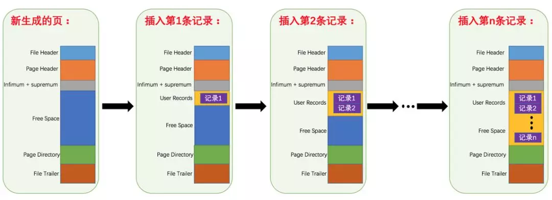 Mysql引擎InnoDB数据存储的基本单位是什么？