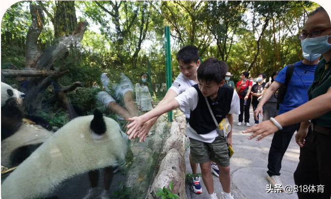 国民妹妹!全红婵包场玩遍长隆所有项目,穿国家队比赛服玩水上乐园