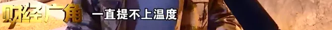 真心疼！养殖场5天死了5000只鸡