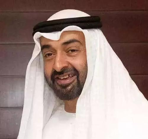 “豪”无人性，阿联酋总统惹官司，140套豪宅遭