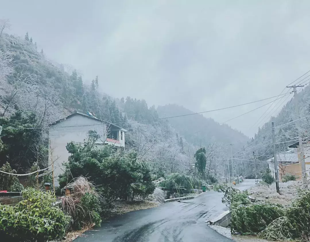 不用去看故宫的雪！钱塘江畔的冰雪霸屏了……美翻了整个江南！