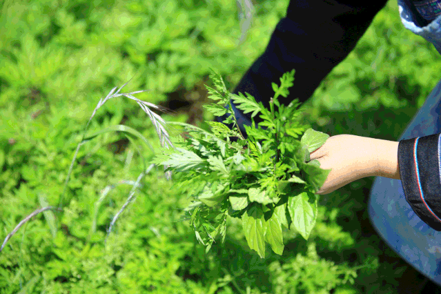 这对夫妇让非遗手艺，登上了巴黎时装周