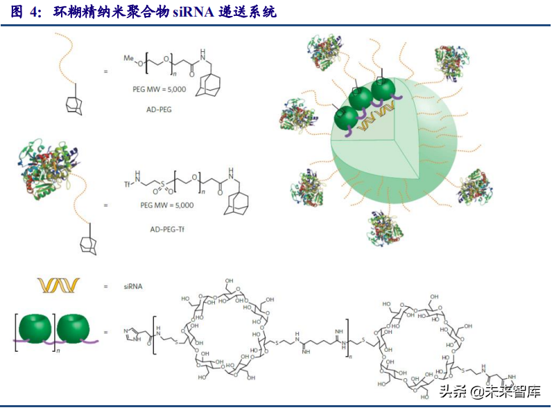 医药行业专题研究报告：小核酸优质赛道分析